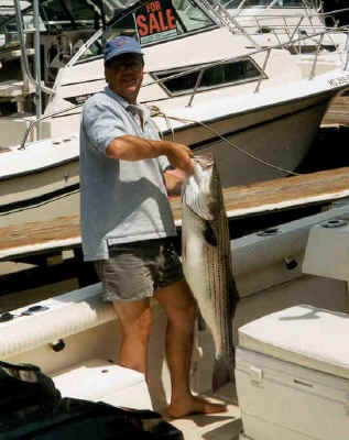 0 inches  -  25 lbs!
