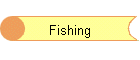 ishing